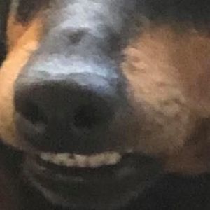 Meet your Posher, Carol